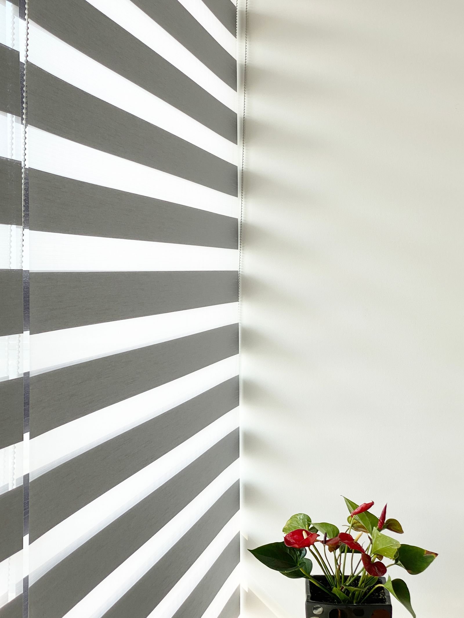 Sheer Elegance en comedor
